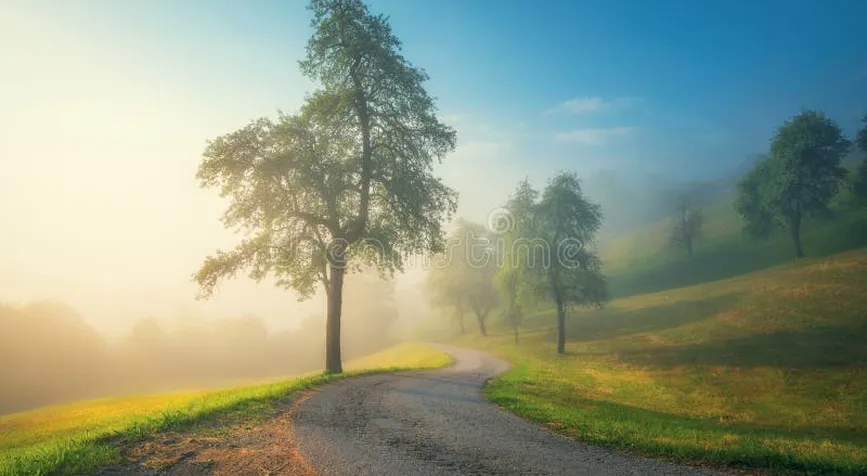 Thực phẩm giàu chất xơ